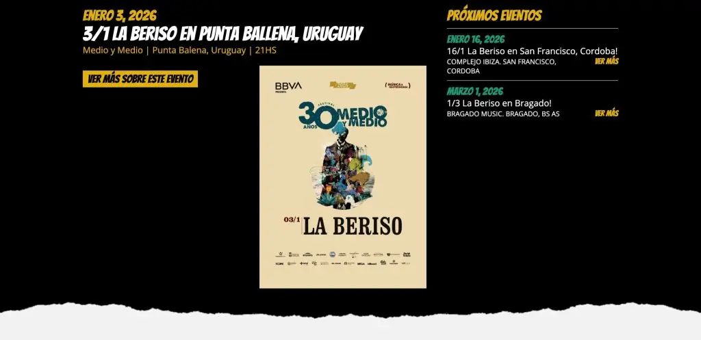 Recorte 02 del sitio web de La Beriso